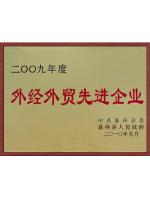 外經外貿先進企業